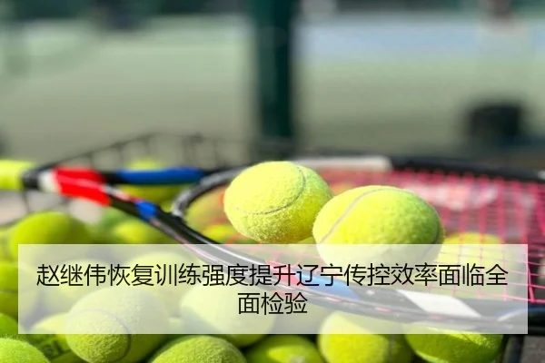 赵继伟恢复训练强度提升辽宁传控效率面临全面检验